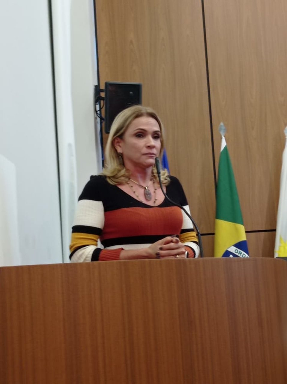 Laudecy Coimbra apresenta PL sobre a Campanha Permanente de Proteção as Mulheres “Sinal Vermelho contra a violência doméstica”