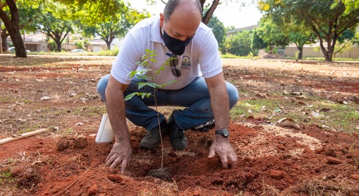 Arse 14 e Arso 61 recebem plantio de arvores que ampliarão espaço sombreado de áreas verdes