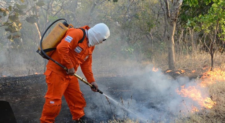 Queimadas e seu potencial de intoxicação em tempos de pandemia será tema de curso