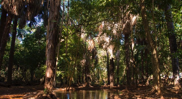 FMA e parceiros lançam projeto de proteção do Taquarussu Grande no sábado, 03