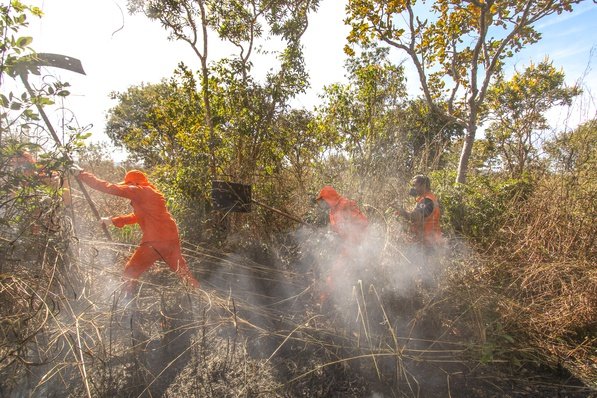 Palmas registra 29 focos de incêndios durante todo o mês de julho e início de agosto