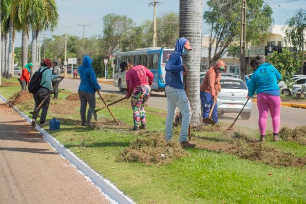 Prefeitura realiza serviços de paisagismo na Avenida NS-01, em Palmas