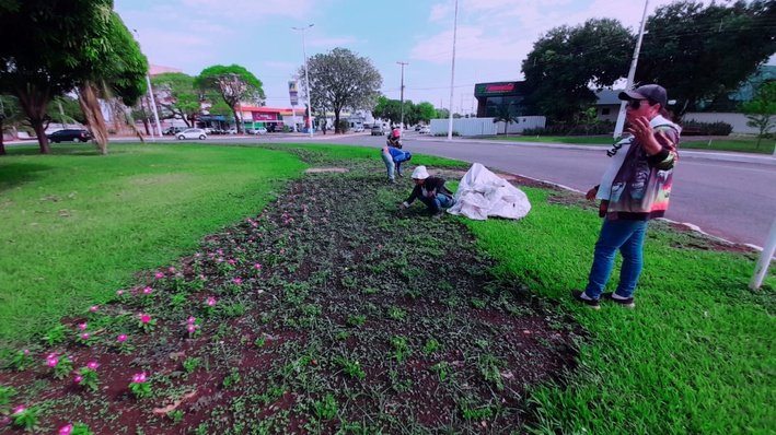 Prefeitura de Palmas intensifica serviços de paisagismo na Avenida NS-01 nesta terça, 28