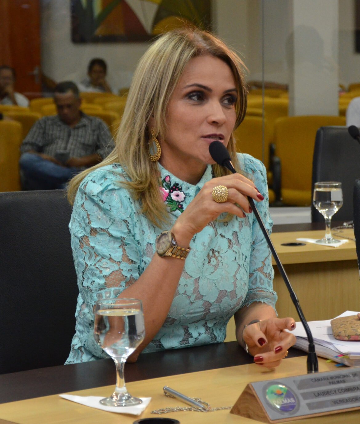 Aprovados requerimentos de Laudecy Coimbra que solicitam melhorias para a quadra 408 norte