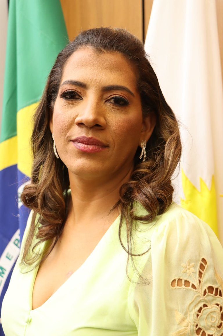 Vereadora Elaine Rocha requer benefícios para quadras 509 sul e 1103 sul