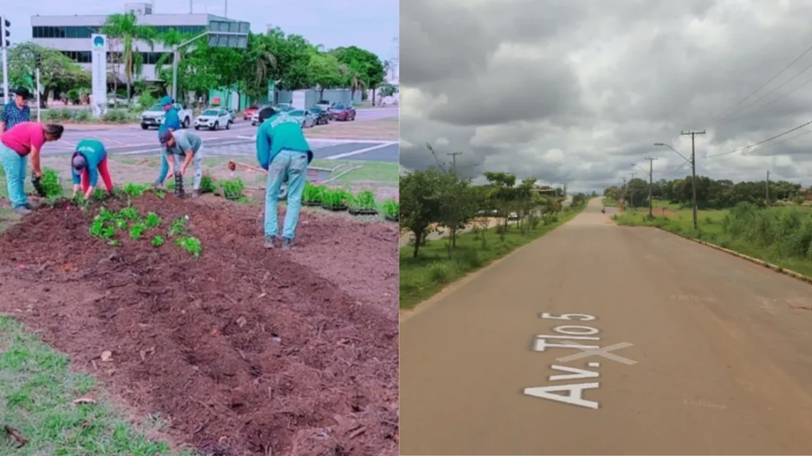 Vereador Josmundo requer do Poder Público Municipal a revitalização paisagística da Avenida TLO 05, no Jardim Taquari